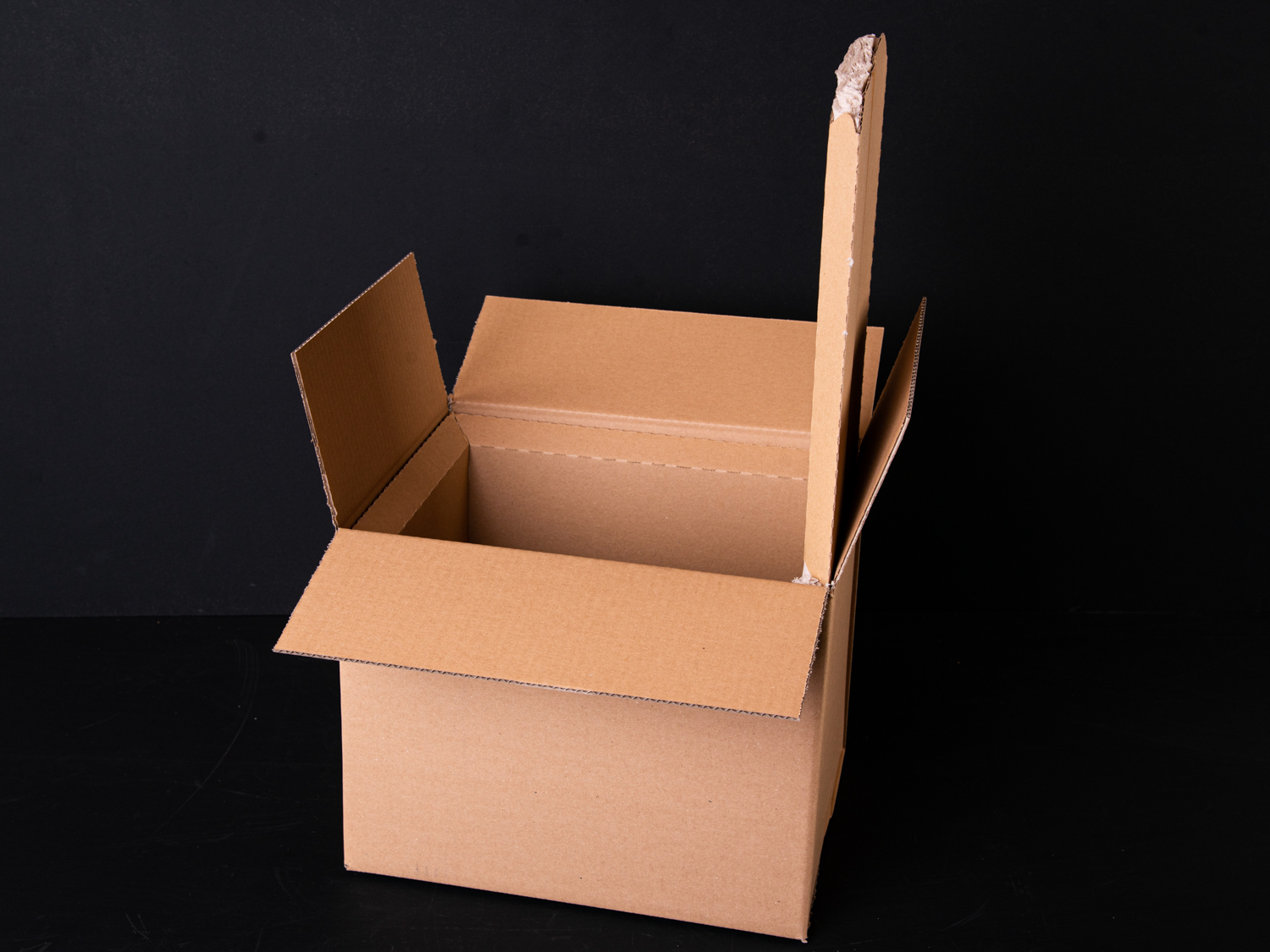 Kühlbox 'ÖkoBox' | #3 | 15 Liter | 8'er Set