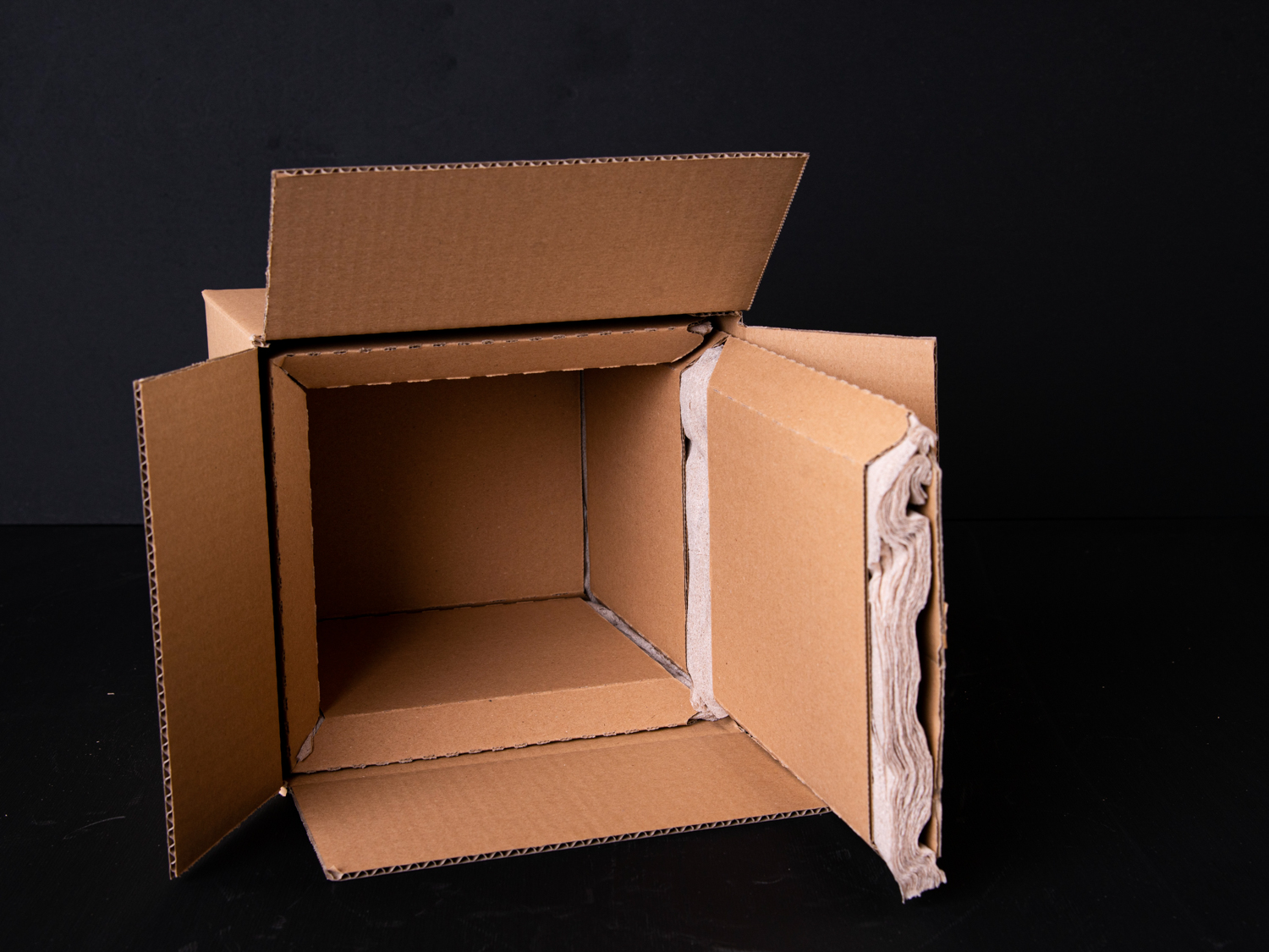 Kühlbox 'ÖkoBox' | #1 | 5 Liter | 20'er Set